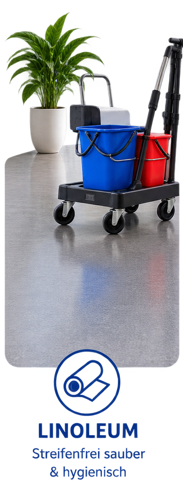 Linoleum – streifenfrei sauber und hygienisch